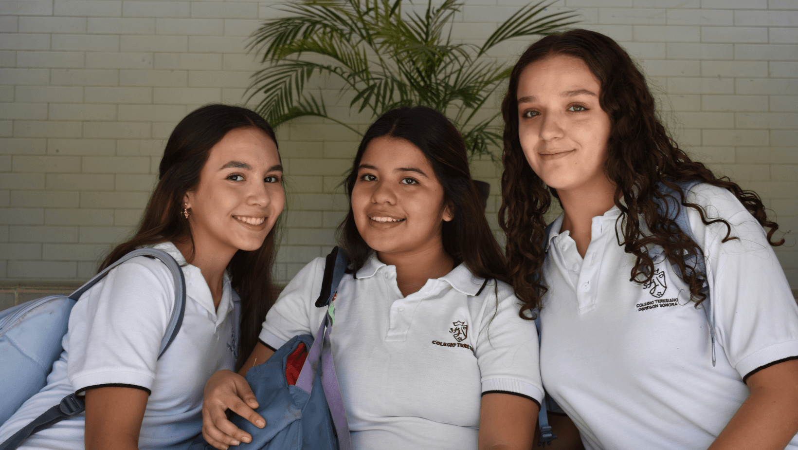 Preparatoria Teresiana — foto 2