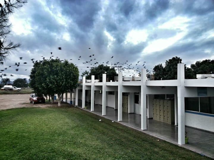 Preparatoria Teresiana — foto 4