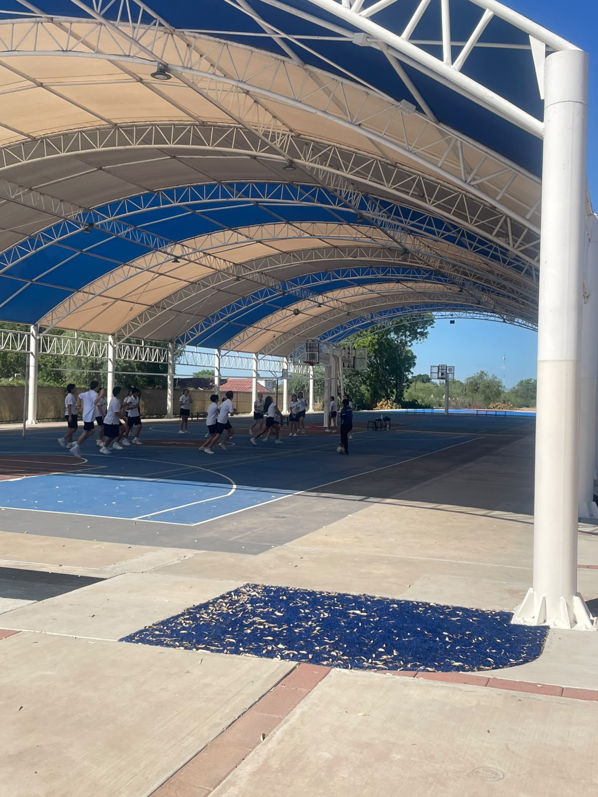 Domo deportivo