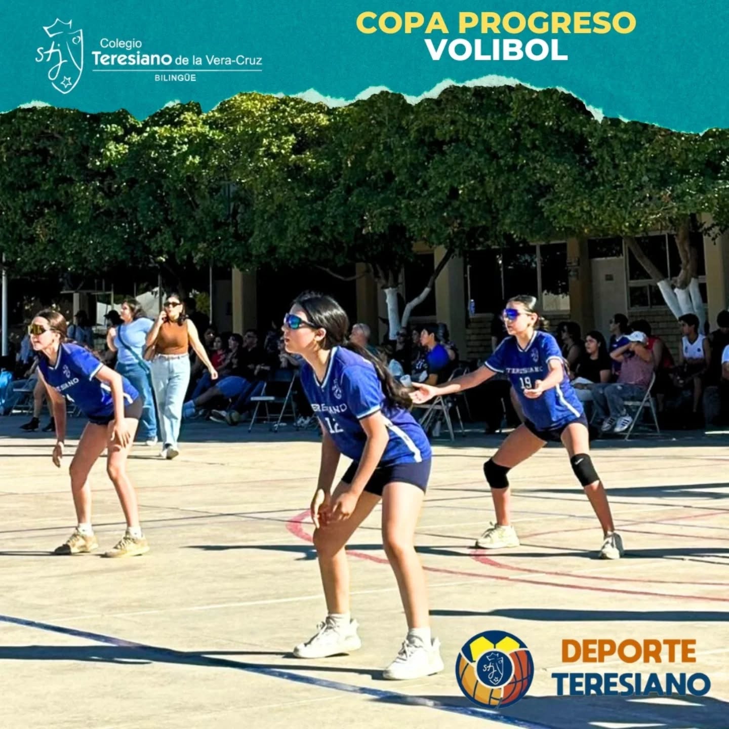 Voleibol