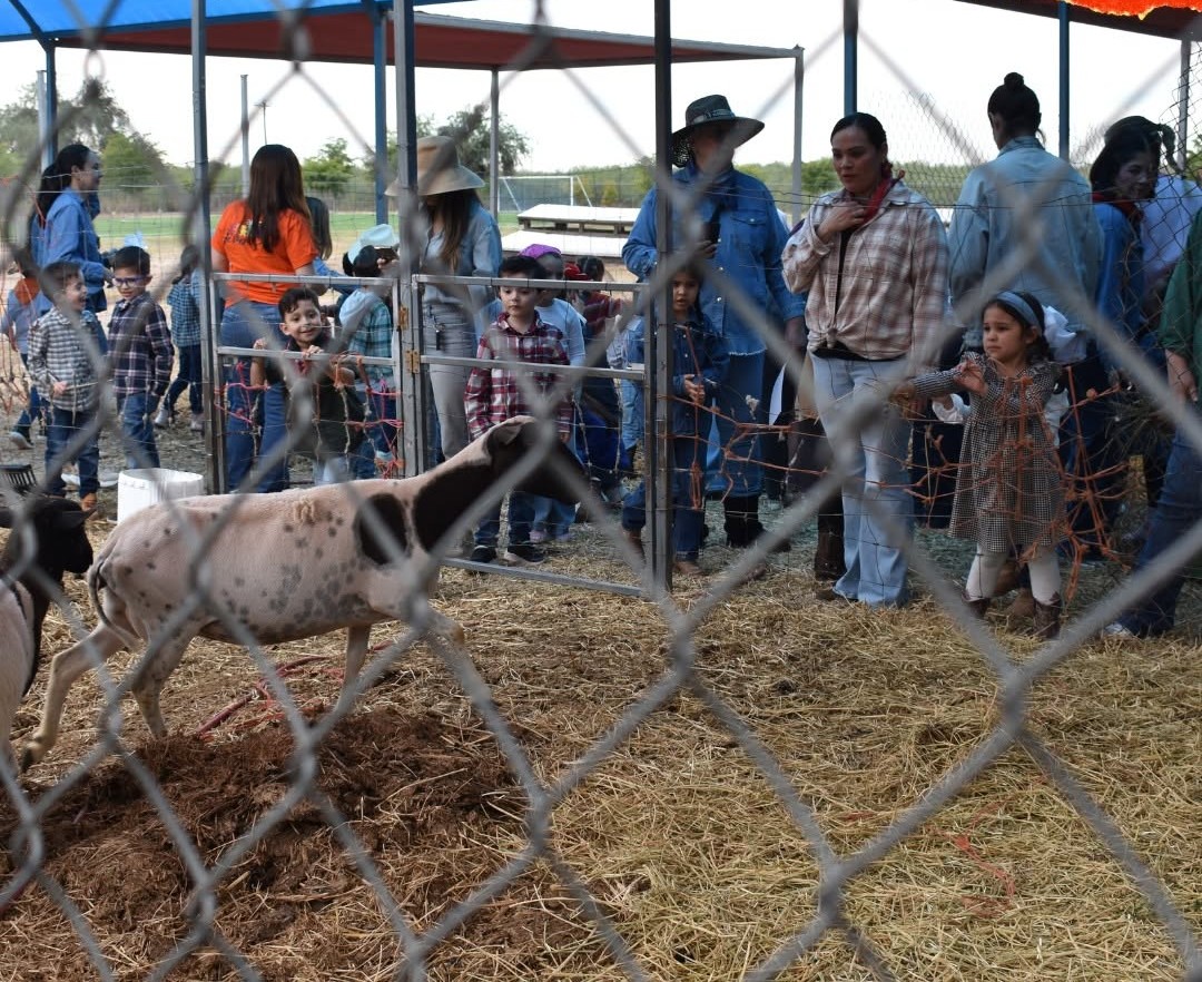 Actividades en granja